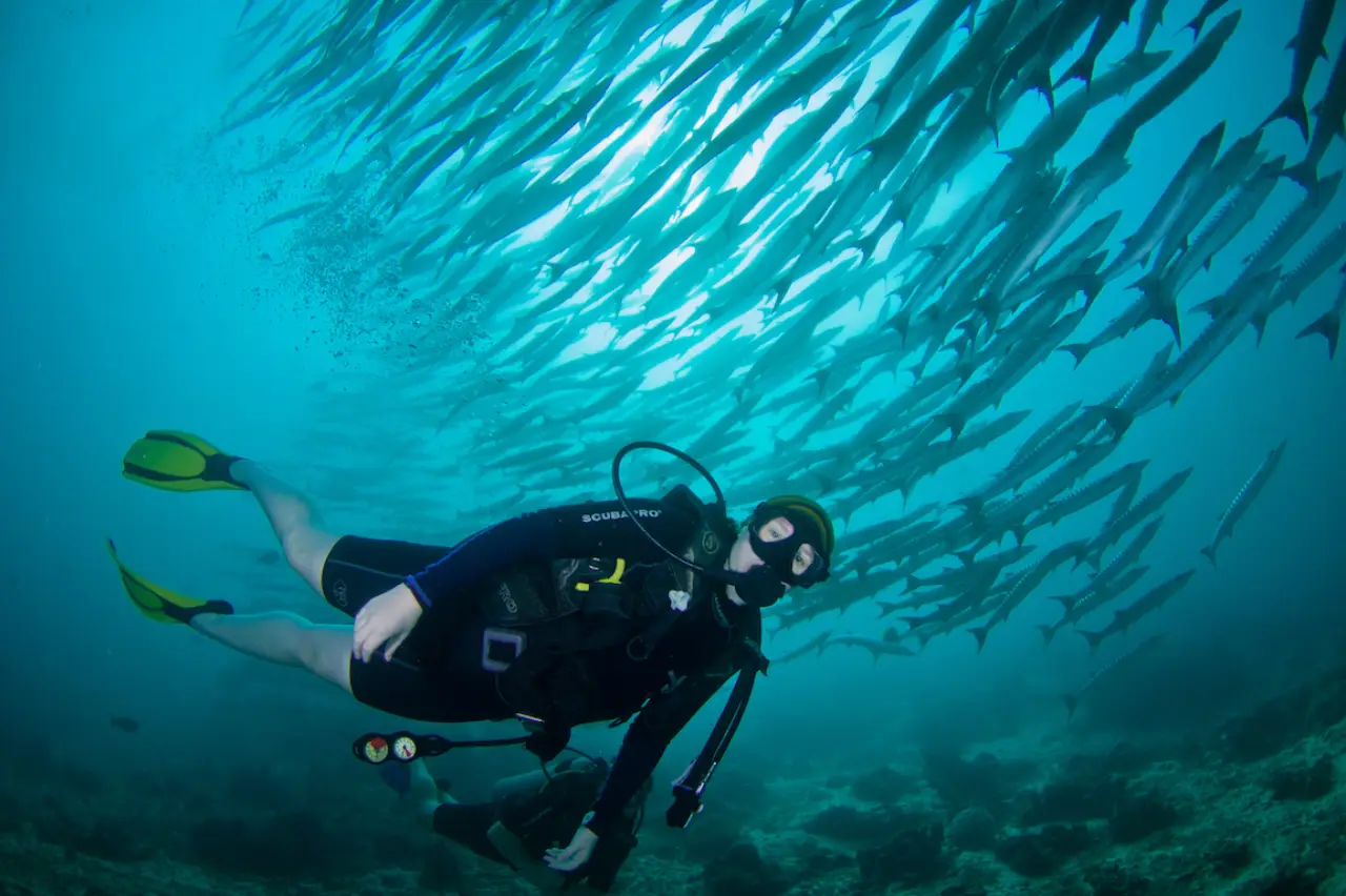 Overhangs and ledges with schooling tuna and reef sharks at Dogtooth Lair dive site.