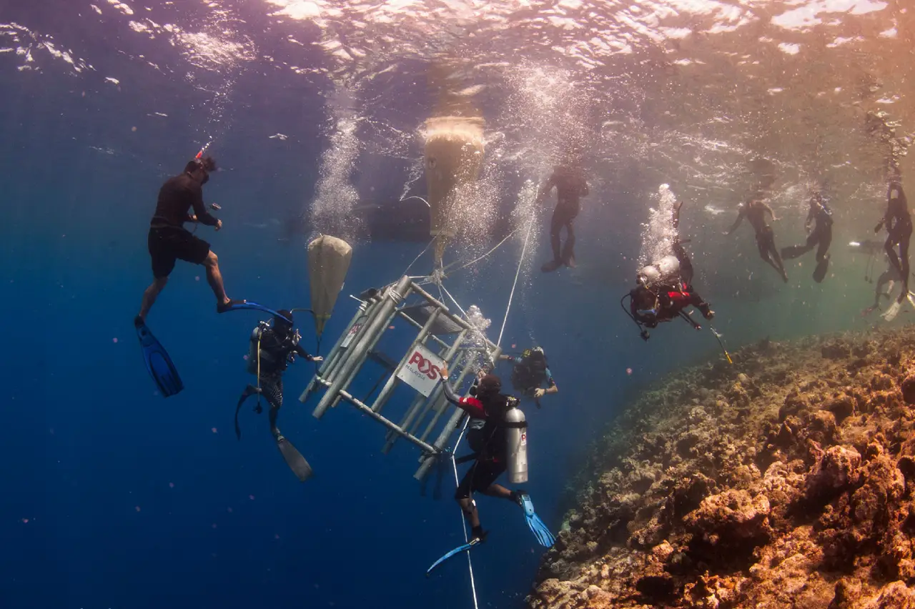 WWII-era wreck dive site covered in corals and macro life at Wreck Point.