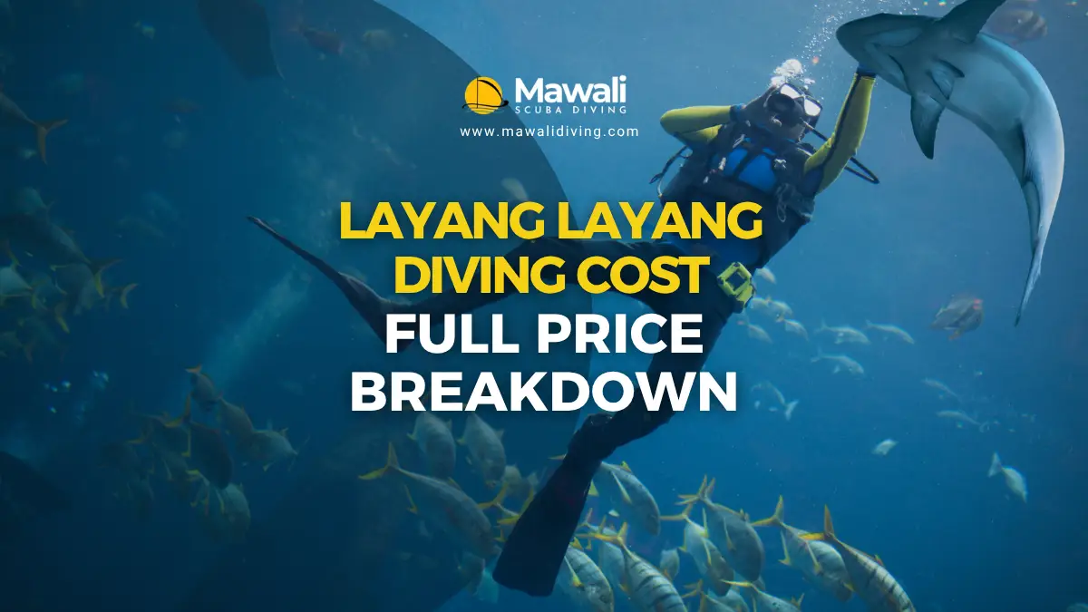 Price breakdown for Layang Layang diving trip